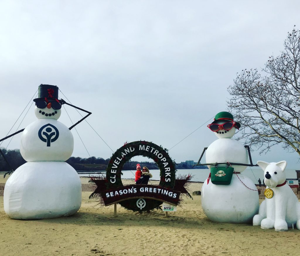 The 12 Lake Erie Days of Christmas - Rock The Lake